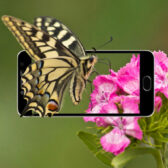 Miếng dán cường lực Meizu M3x full màn hình