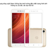 Miếng dán cường lực Xiaomi Redmi 5a prime chính hãng