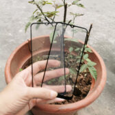 thay mặt kính nokia C21 Plus chính hãng 2